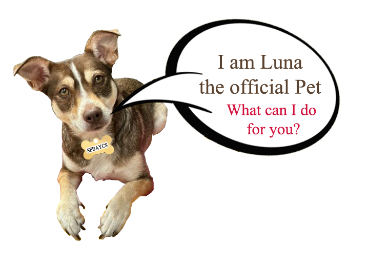 lunaforweb